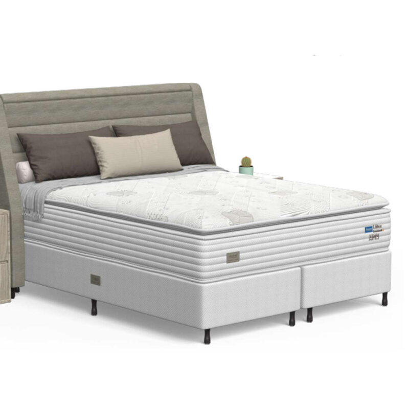 Conjunto Box King Mola Ensacada Probel Látex Premium